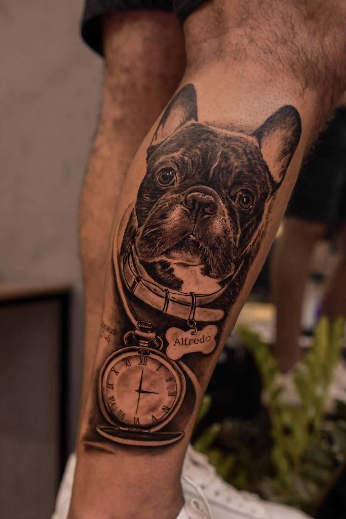 Bulldog